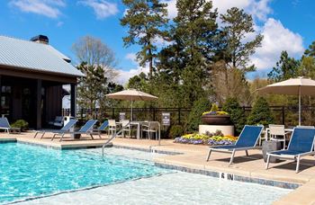 Swimming pool view